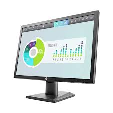 HP P204v Monitor